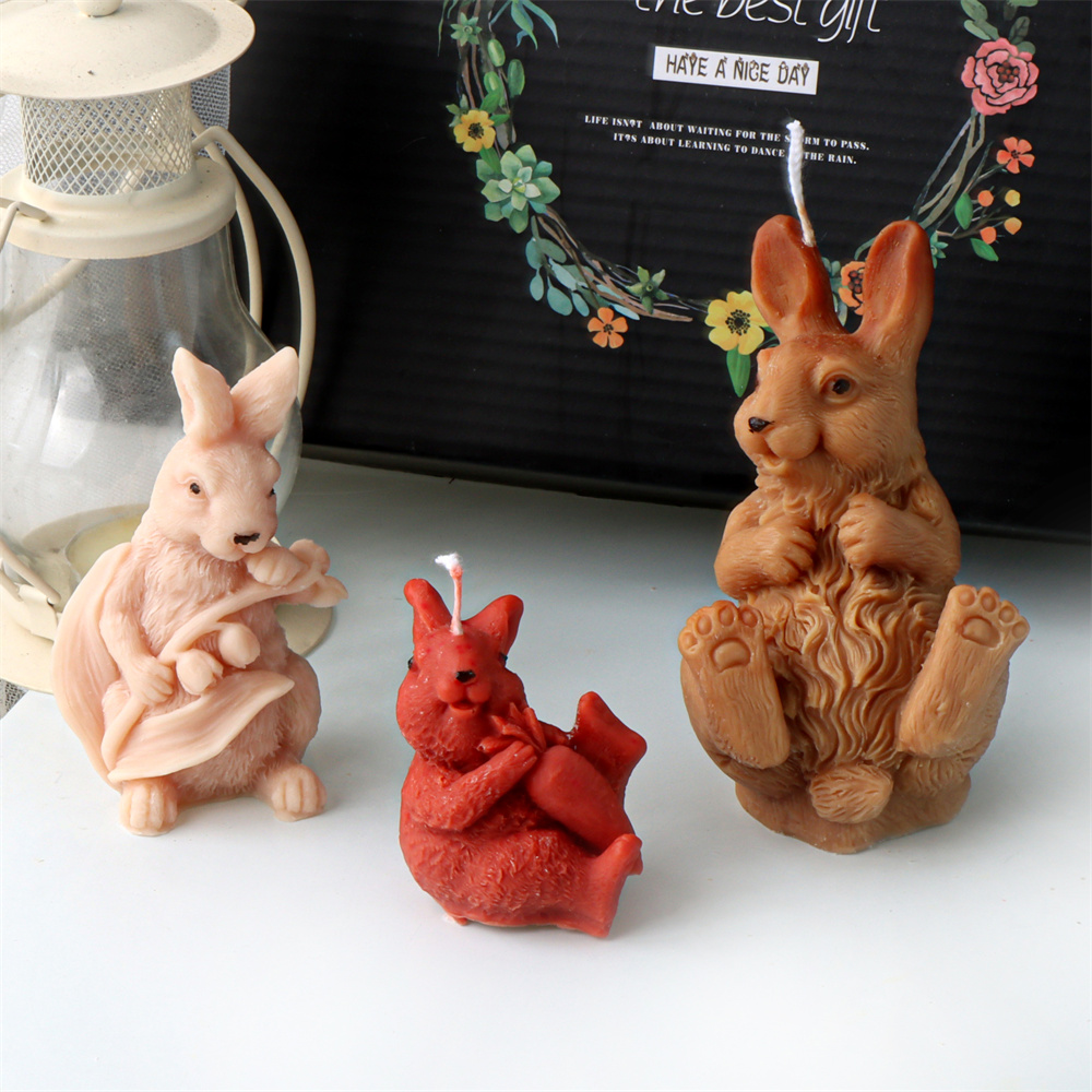 Moule 3D en Silicone pour boug - Bunny Cake Mold avis et prix